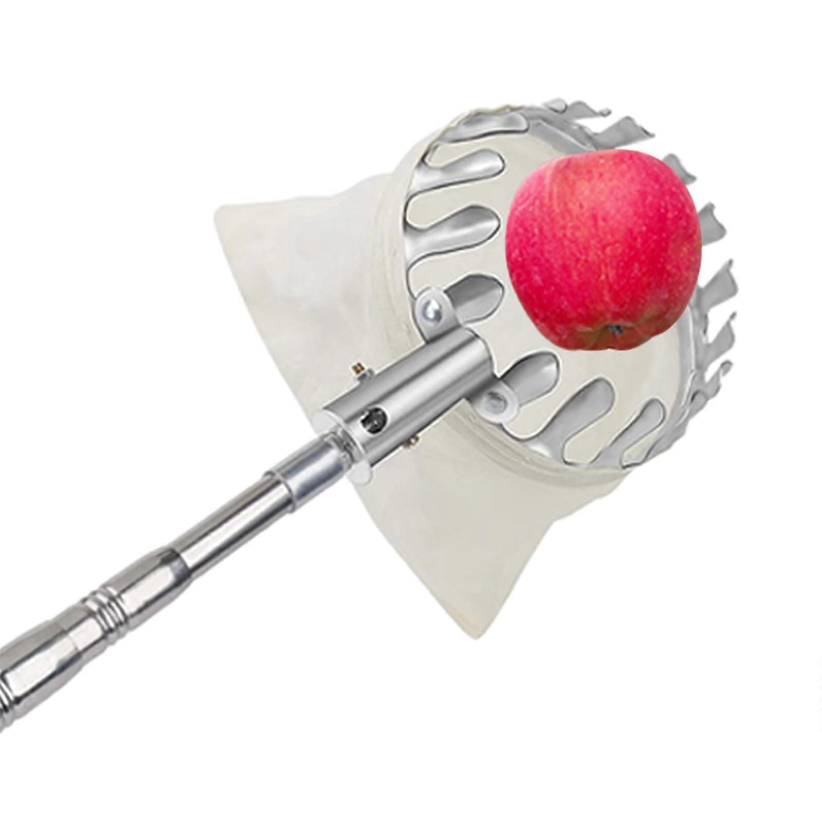 Fruit Picker with Telescopic Handle, Apple Picker 15 cm, Stainless Steel, Cherry Picker, 300cm
