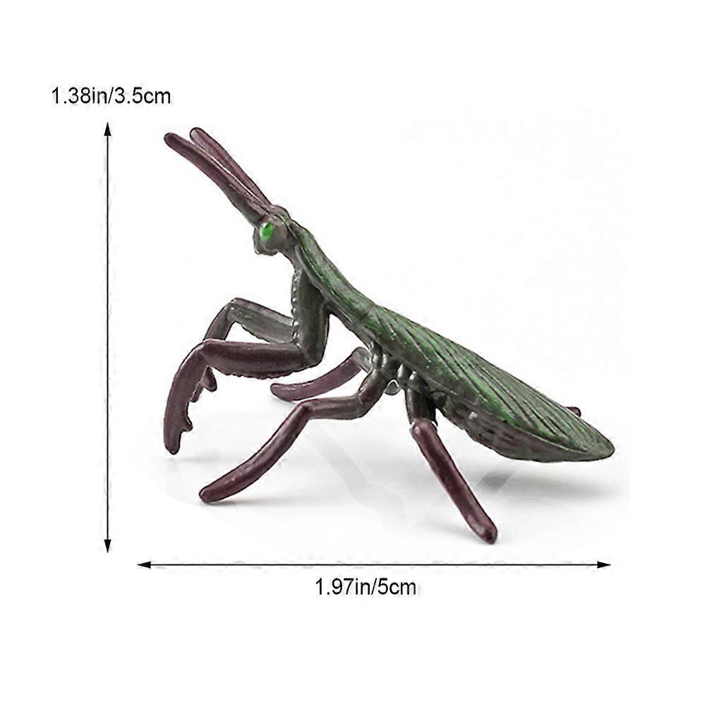 12PCS Realistic Insect Toy Set PVC Bug Figures with Bee Mantis