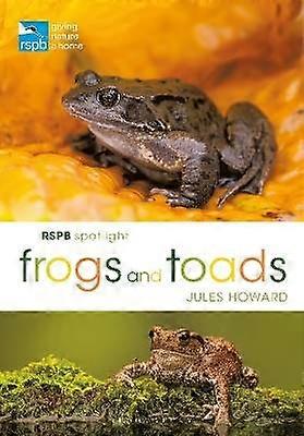 Rspb Spotlight Frogs and Toads