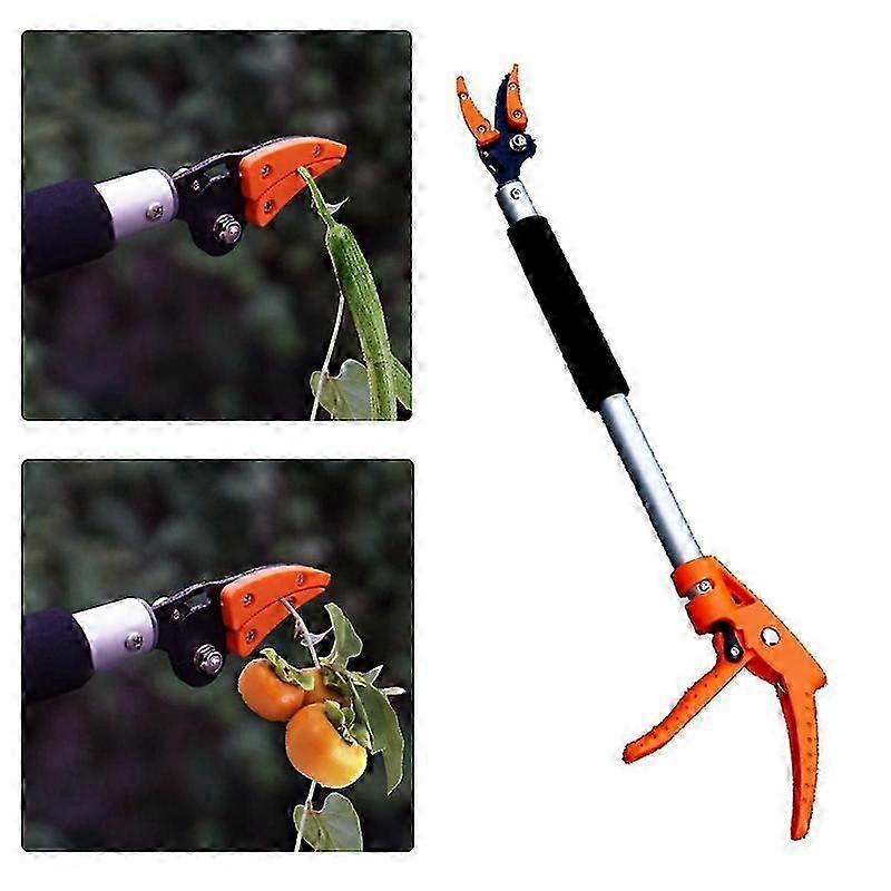 Long-Handled Pruning Shears - Extendable Trimmer for Trees & Garden Maintenance