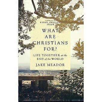 What Are Christians For Life Together At The End Of The World - Jake Meador - Hardcover - en Book
