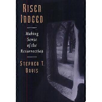 Risen indeed making sense of the resurrection