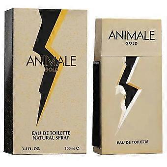 Gold EDT 100ml