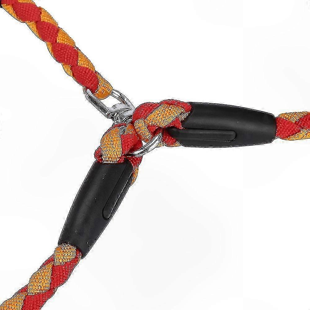 Dual Nylon Leash for Walking and Training Two Dogs Simultaneously