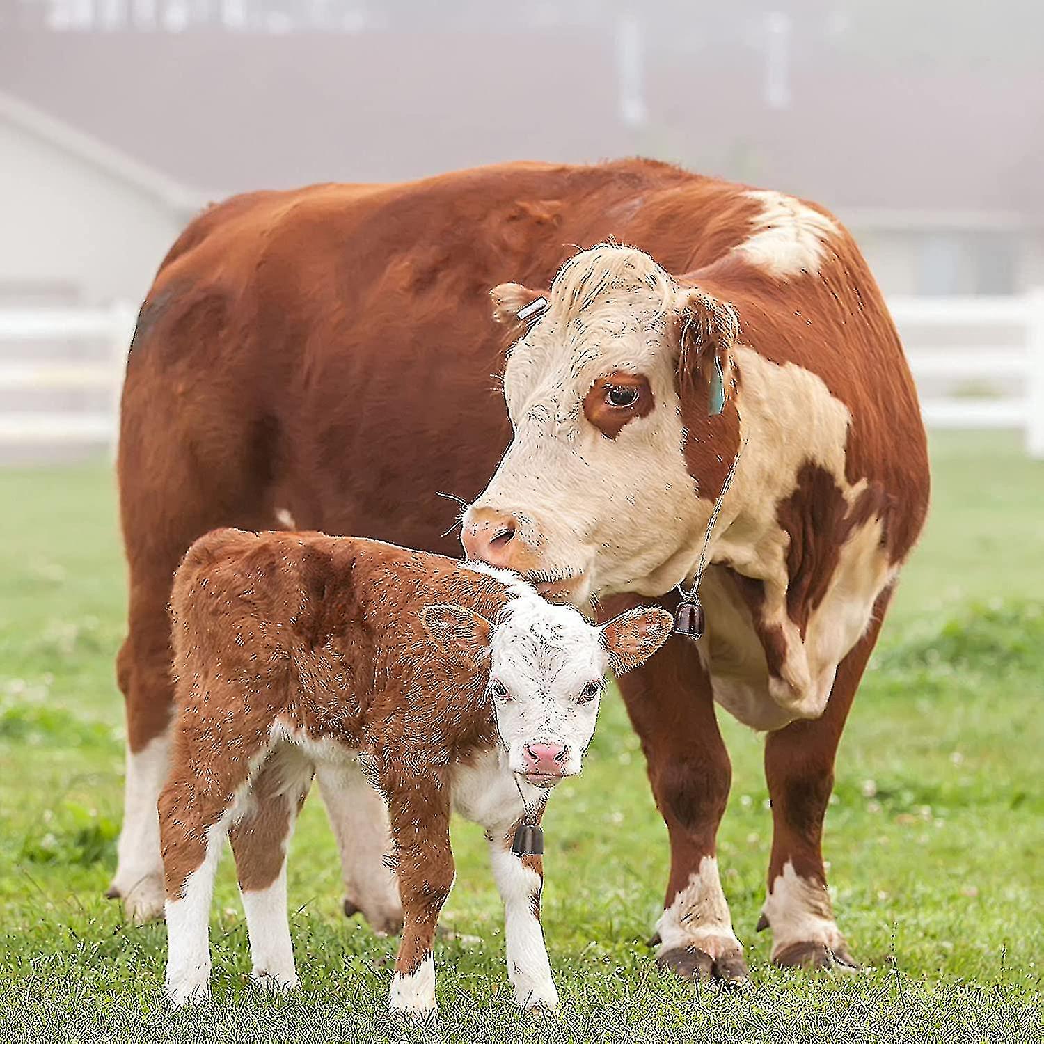 3 Pezzi Campane Rame per Mucca Pascolo Bovini Animali da Fattoria Rame Forte Campana Bronzo Campana Metallo per F0T6 15 3 Pezzi Campane Rame per Mucca Pascolo Bovini Animali da Fattoria Rame Forte Campana Bronzo Campana Metallo per F0T6 15