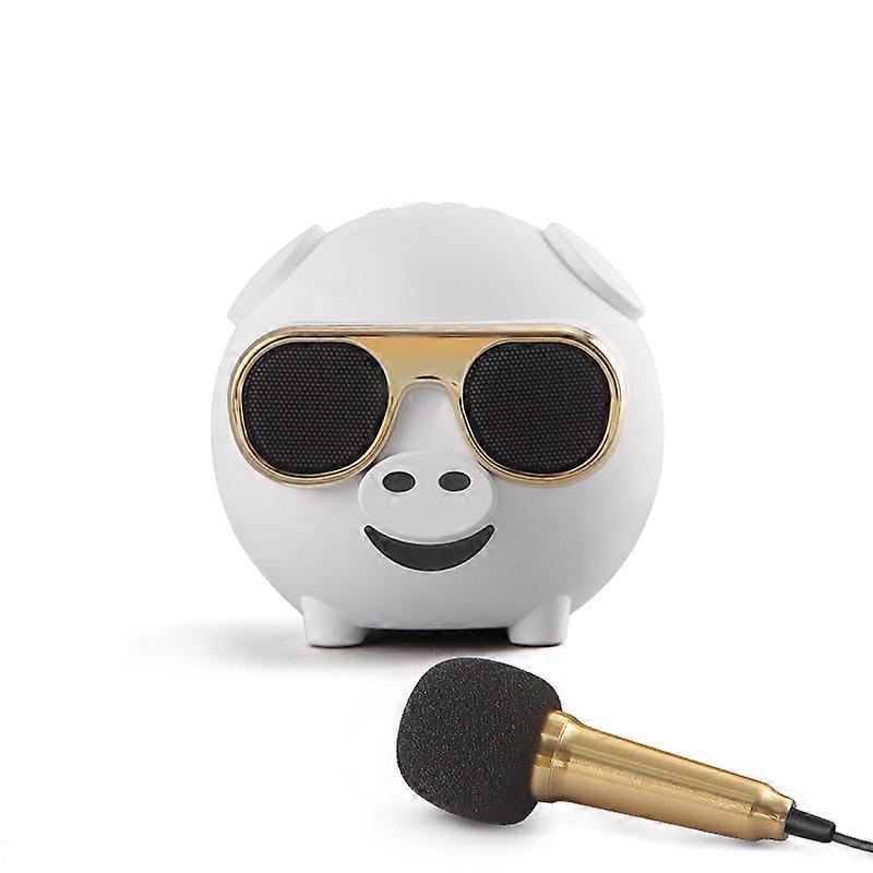 Bluetooth 5.0 Wireless Karaoke Speaker, Small Subwoofer, Multi-function, Creative, Cute