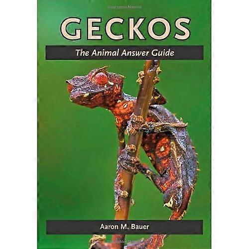Geckos: the Animal Answer Guide