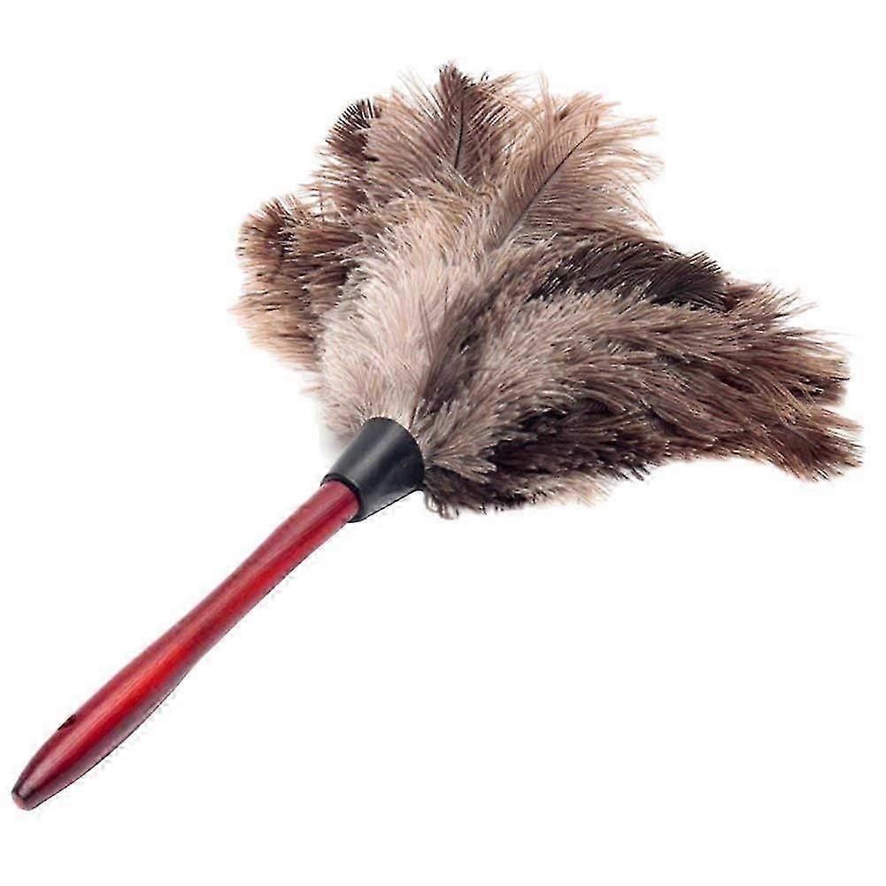 Feather Dusters Ostrich Duster With Long Handle Brush Electrostatic Dust