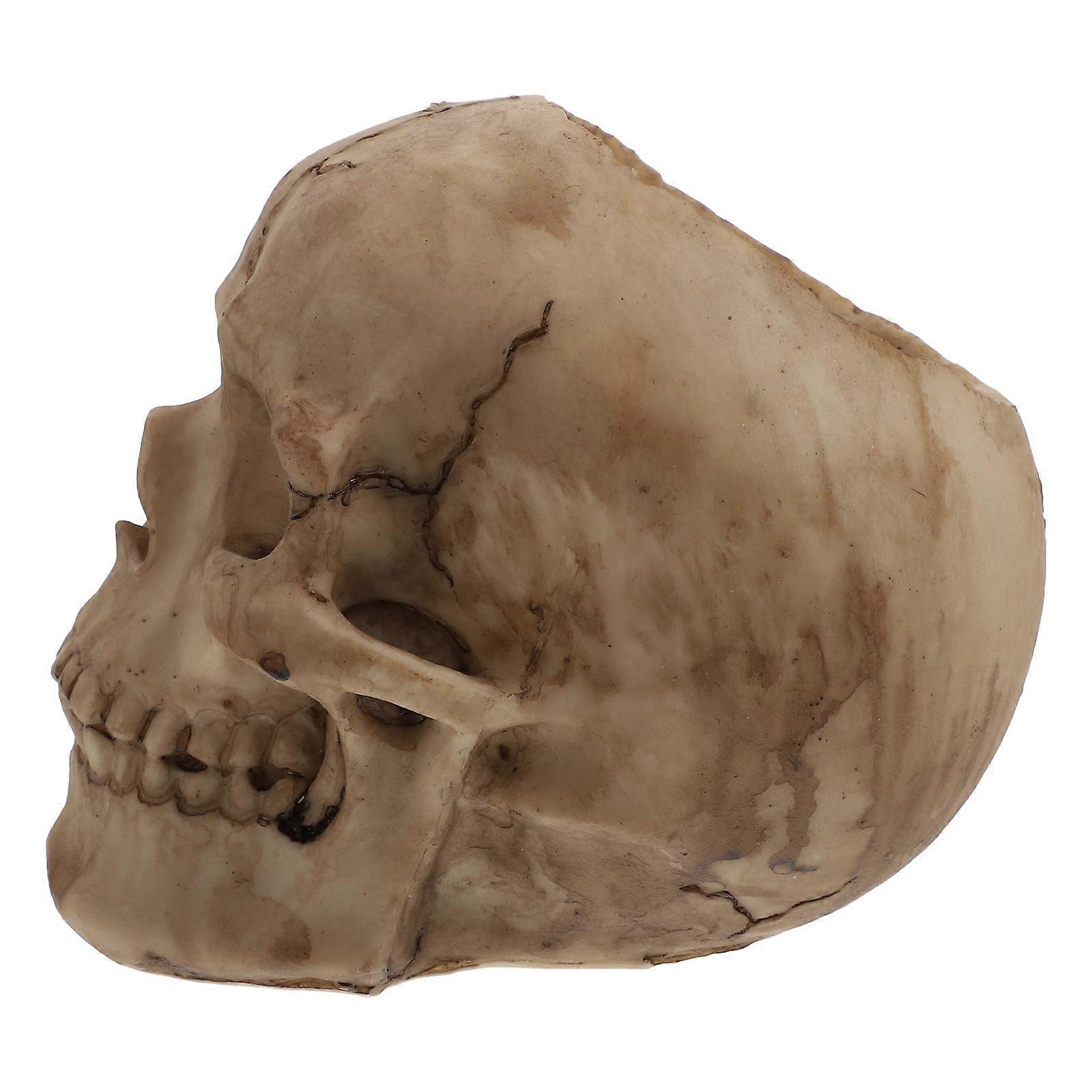 Skull Shaped Vase, Resin Material for Atmosphere