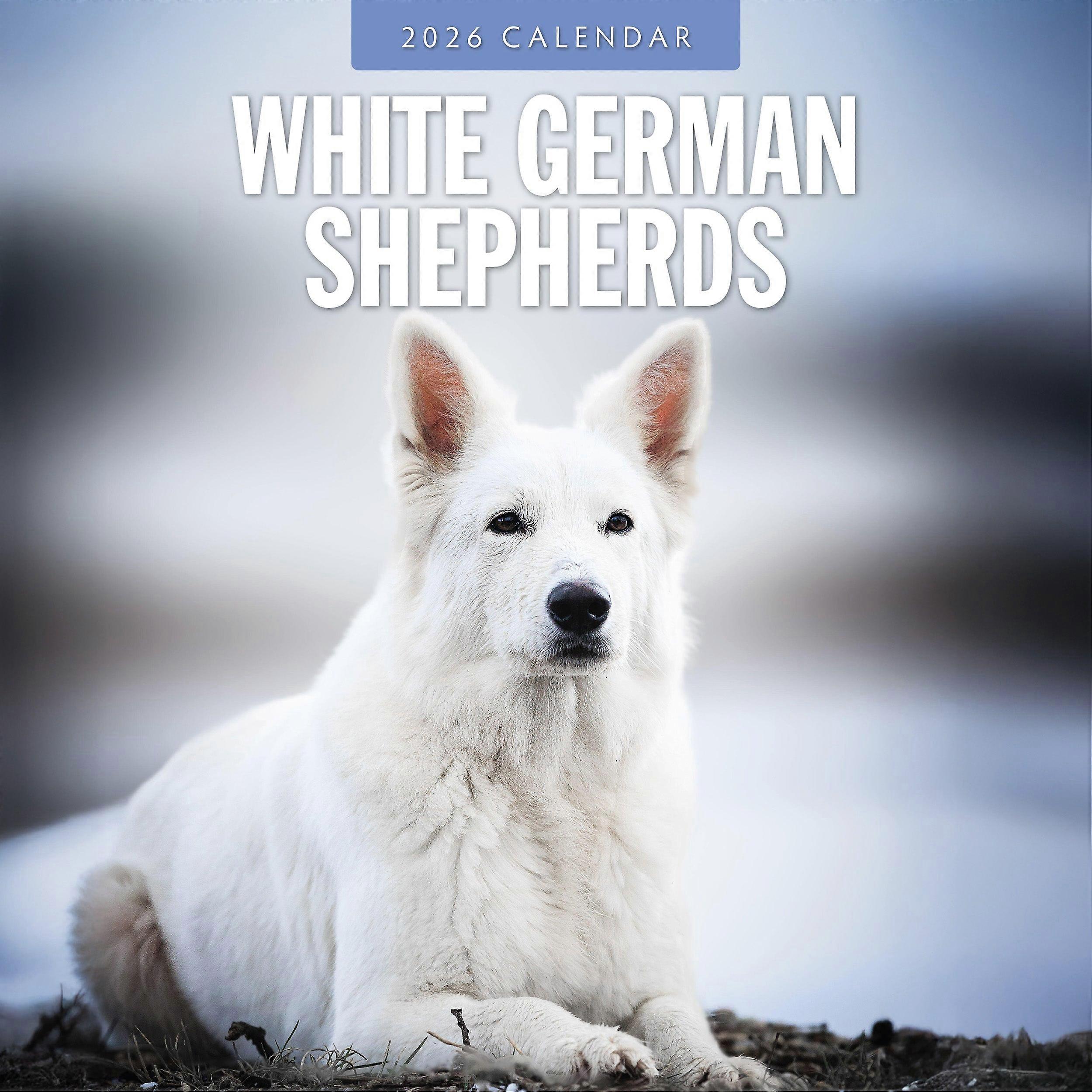 Red Robin White Shepherd Calendar 2026