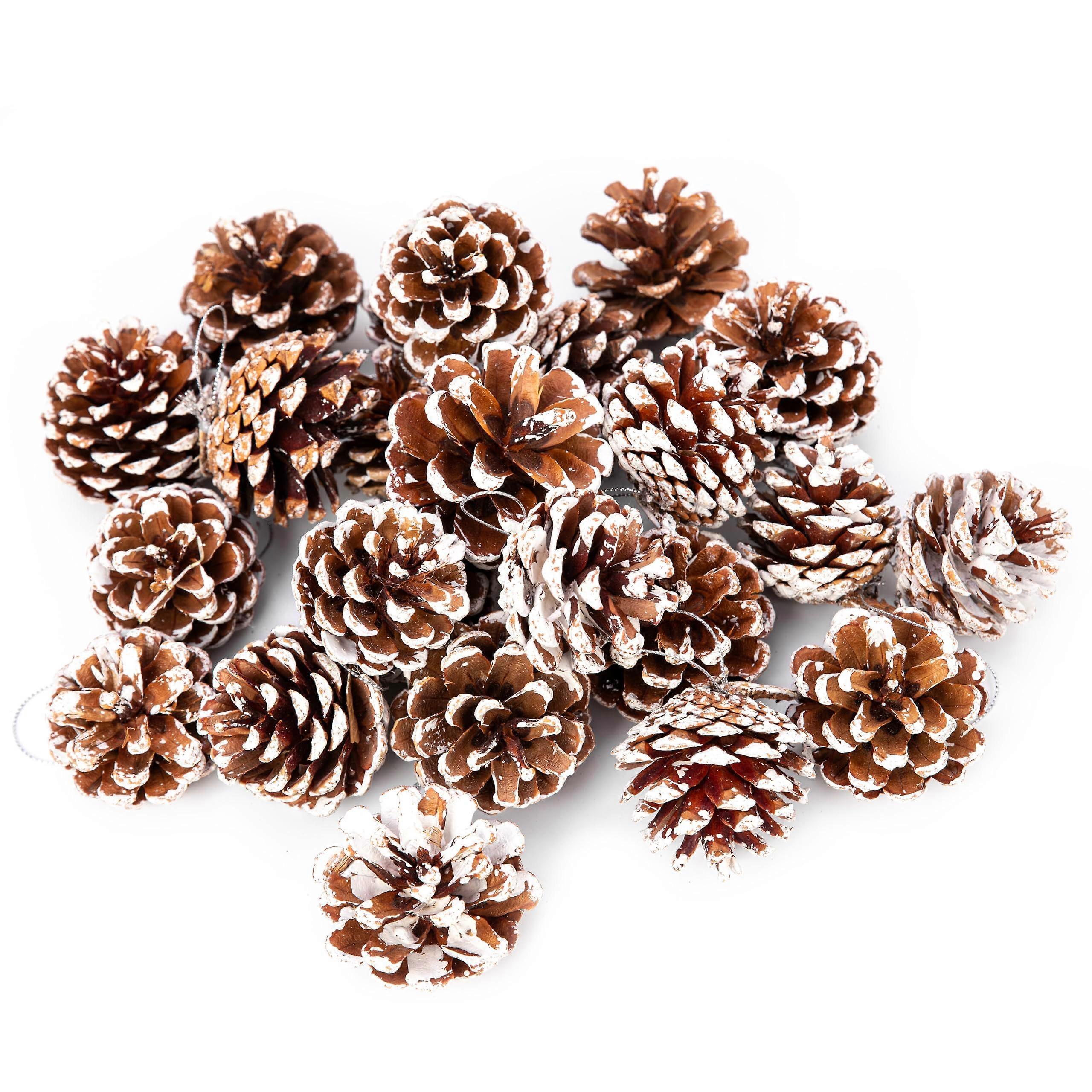24 Pcs Large Snowy Pine Cones with Strings for Christmas Tree Decoration, Rustic Holiday Crafts