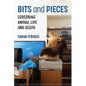 Bitar och bitar : Visning av djurs liv och död