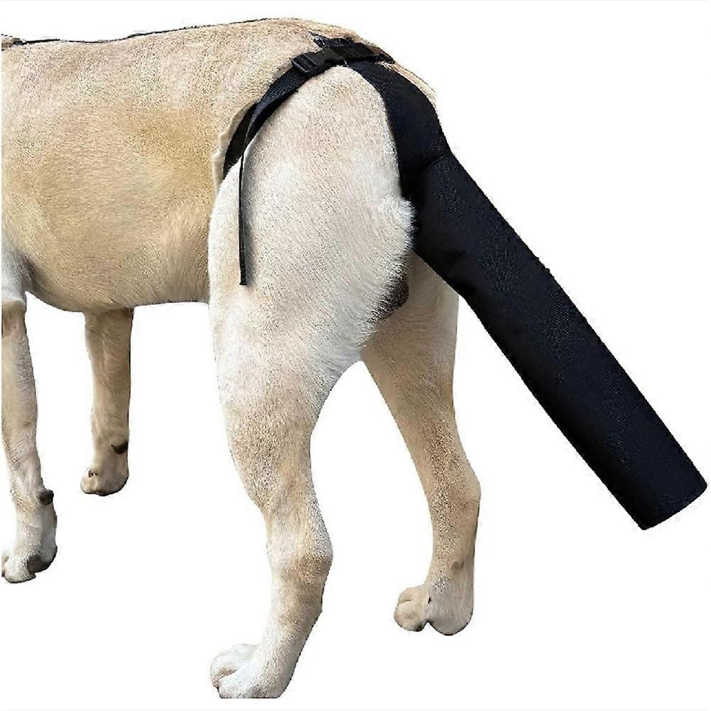 Protection de queue pour chien, harnais avec protège-queue, taille M