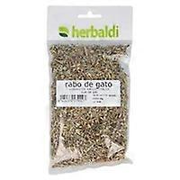 cat tail grass 50 g