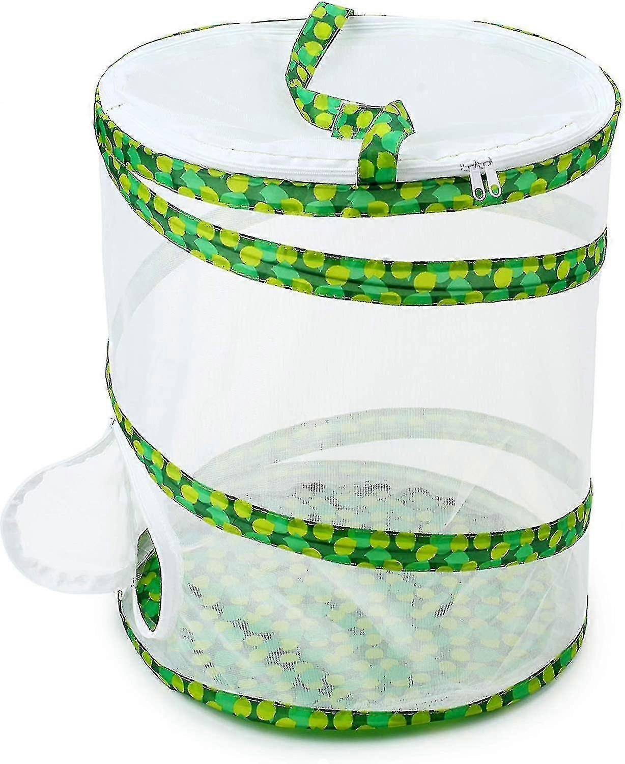 Cușcă habitat insecte și fluturi