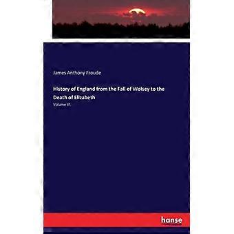 History Of England From The Fall Of Wolsey To The Death Of Elizabethvolume Vi - James Anthony Froude - Paperback - English Book - History