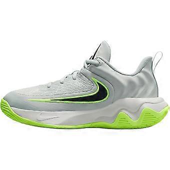 Nike Giannis Immortality 4 lage basketbalschoenen grijsgroen unisex IH7664-002