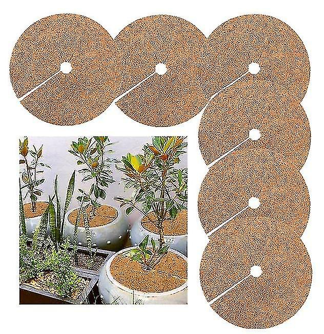 6 Pcs Coco Coir Fiber Tree Mulch Ring Protector Mat For Indoor Outdoor Trees, Tree Plant Ring Mats