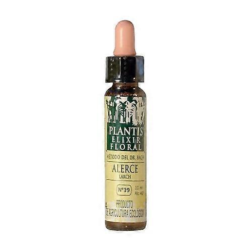 Larch No. 19 Eco 30 ml of floral elixir
