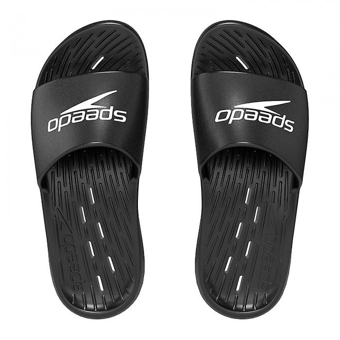 Speedo Hommes 2024 Claquettes