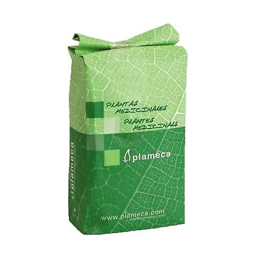 Crushed fir pine buds 1 kg