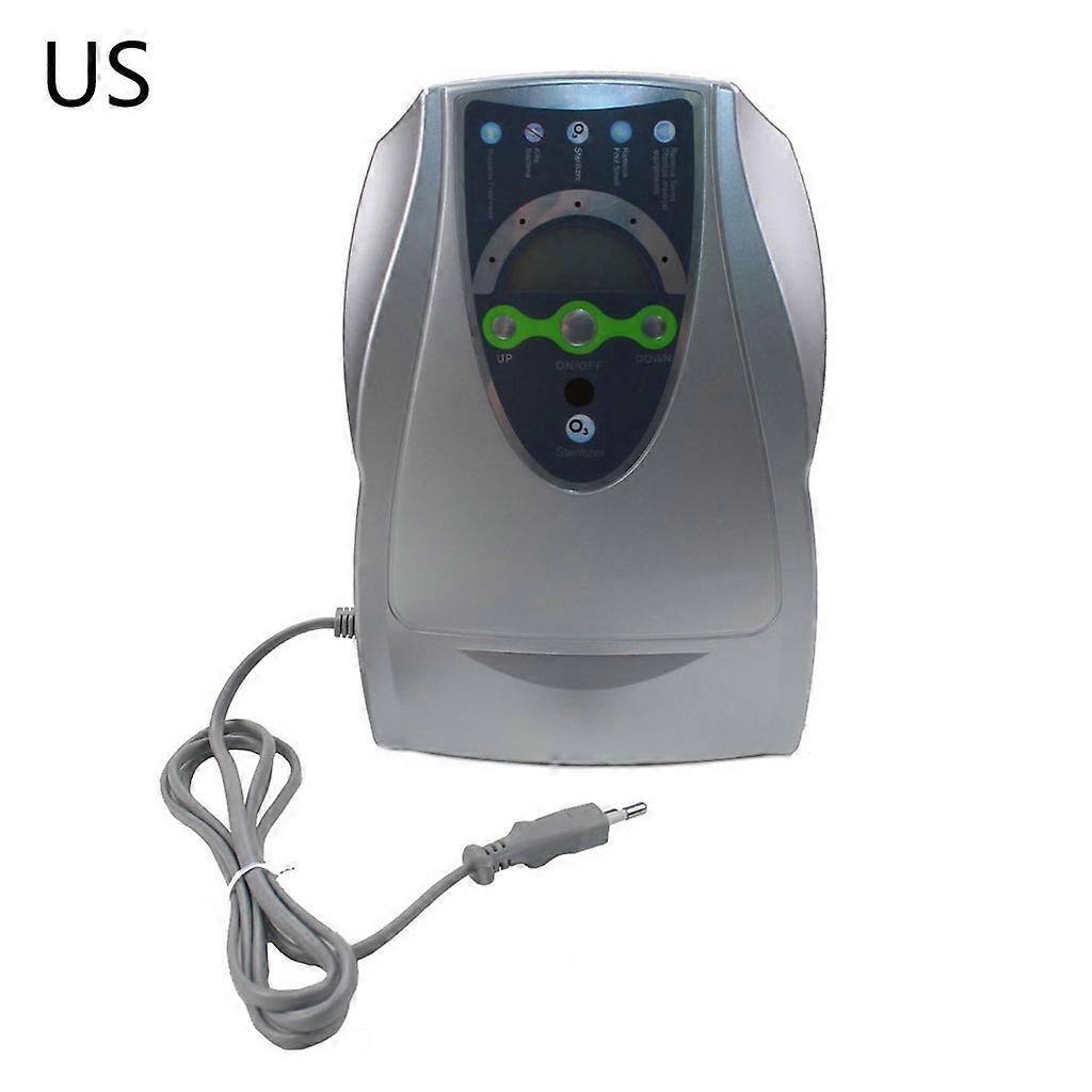 220V 110V Generatore di ozono Ozonizzatore Ionizzatore O3 Timer Purificatore d'aria Olio Carne vegetale Disinfettante per acqua fresca