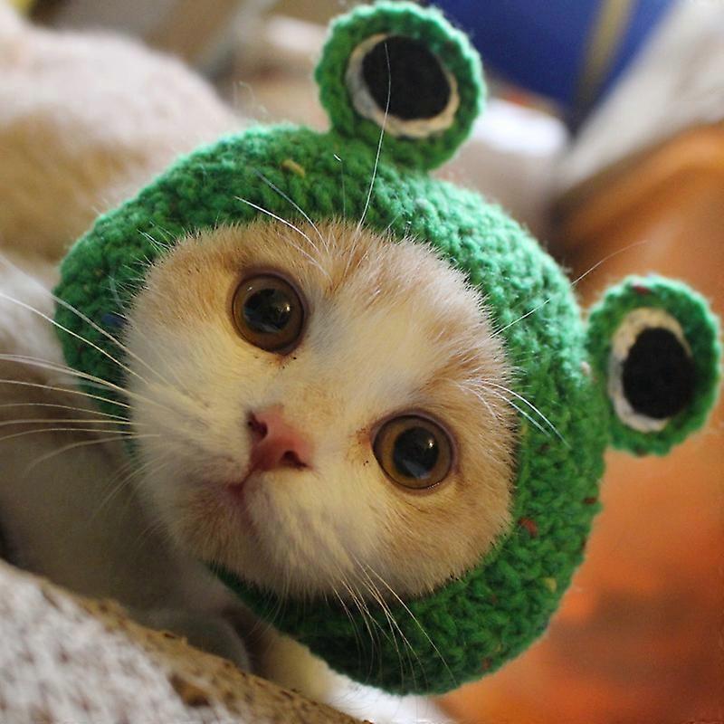 GreenS Suitable for Cats)Cap Funny Hat Funny Hat Cartoon Frog Shape Cap Green Color All-Match