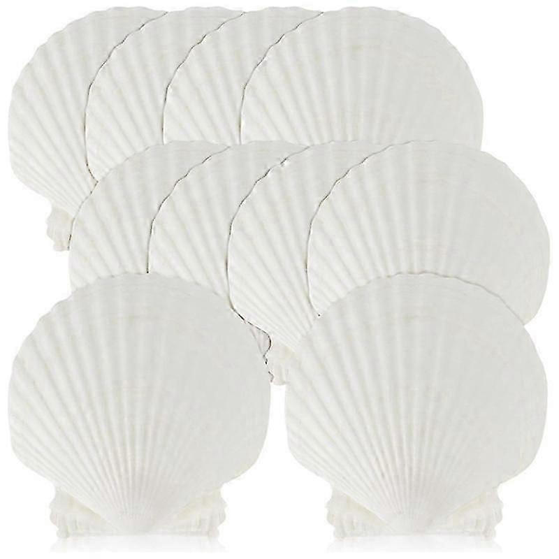 15 pcs natural concha do mar grande branco, 4-4,7 polegadas conchas de vieira para artesanato DIY, servindo comida, assando
