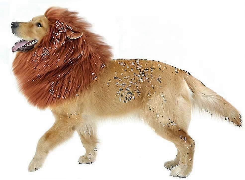 Crinière de Lion Pour Chien Grand Moyen Avec Oreilles Chiens Drôles Cadeaux Animal Lion