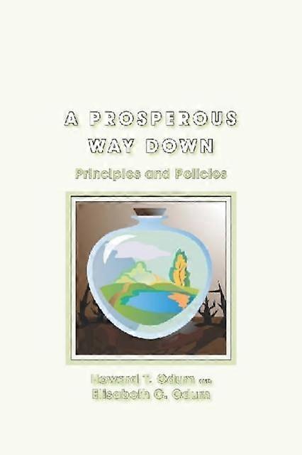 A Prosperous Way Down by Elisabeth C. Odum Paperback