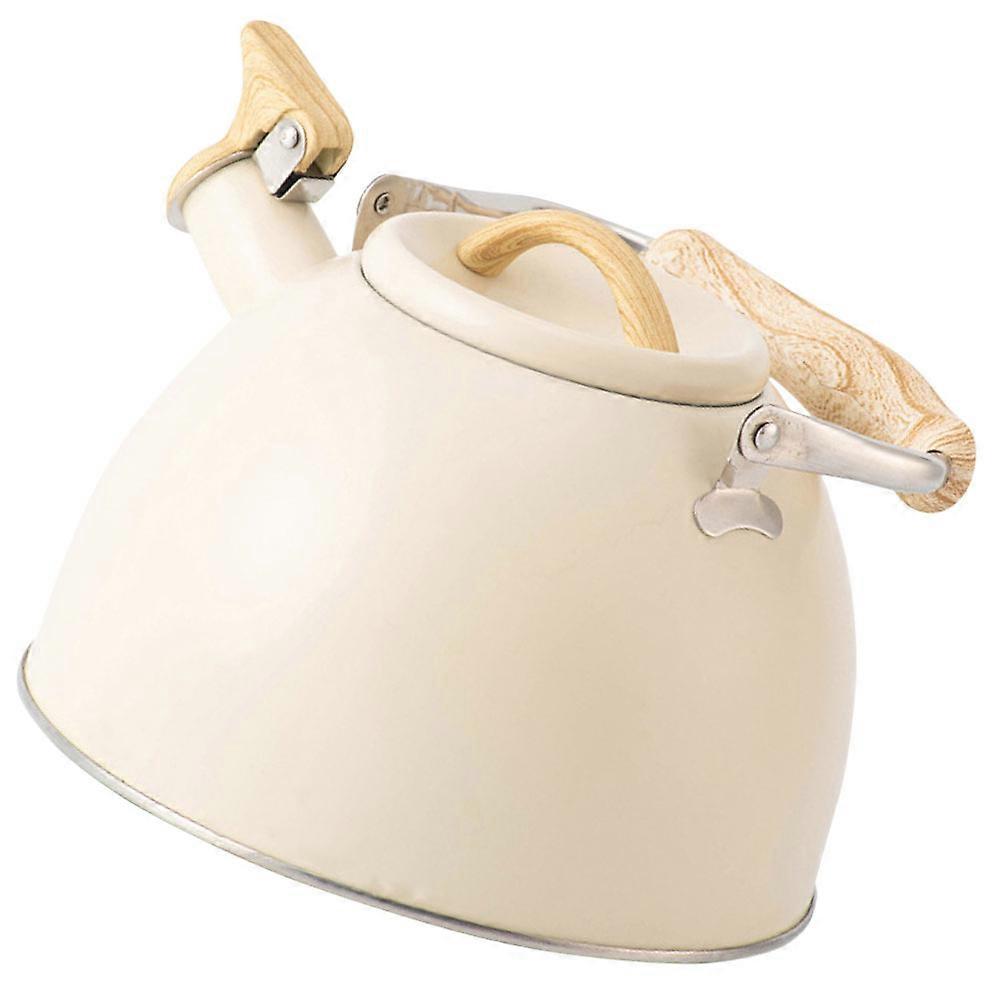 Stove Top Kettle 3L Stainless Steel Tea Pot with Handle for Kitchen