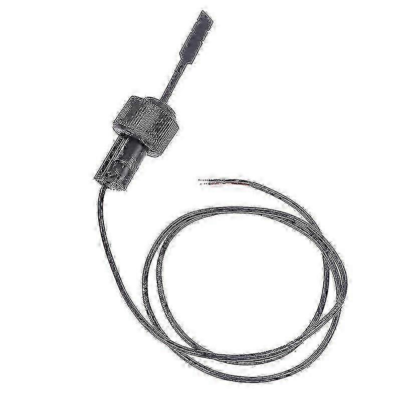 Durable Black Paddle Flow Switch for Heat Pump Water Heater & AC