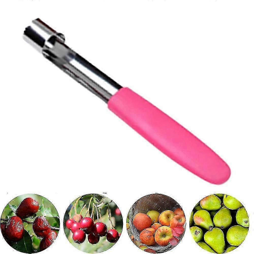 Apple Corer,Premium Stainless Steel RemoverPuller,Hand-held Kitchen...