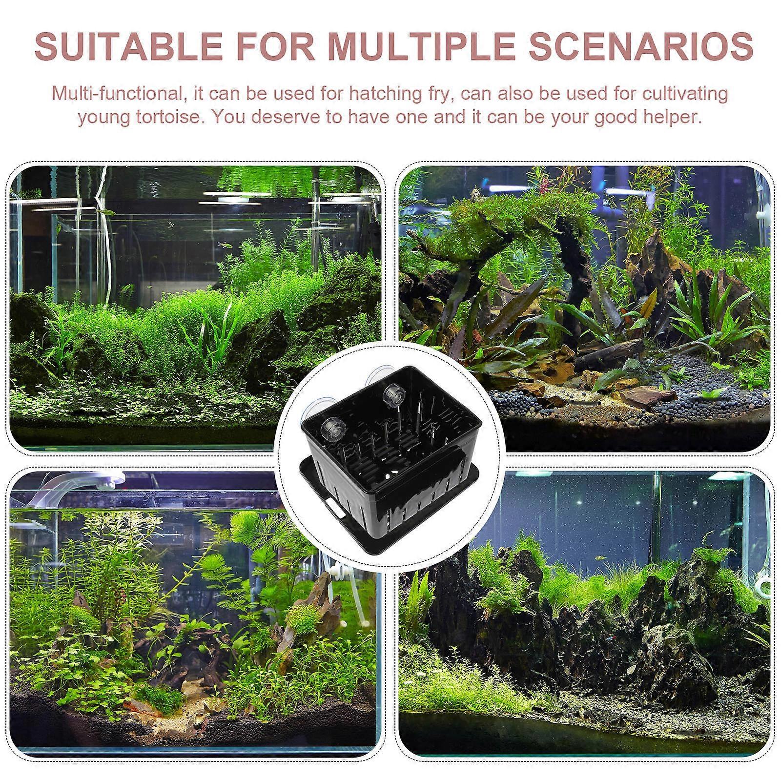 Turtle Supply Household Incubation Box for Tortoise and Aquatic Animals Black Plastic for Tortoise Isolation 1Set