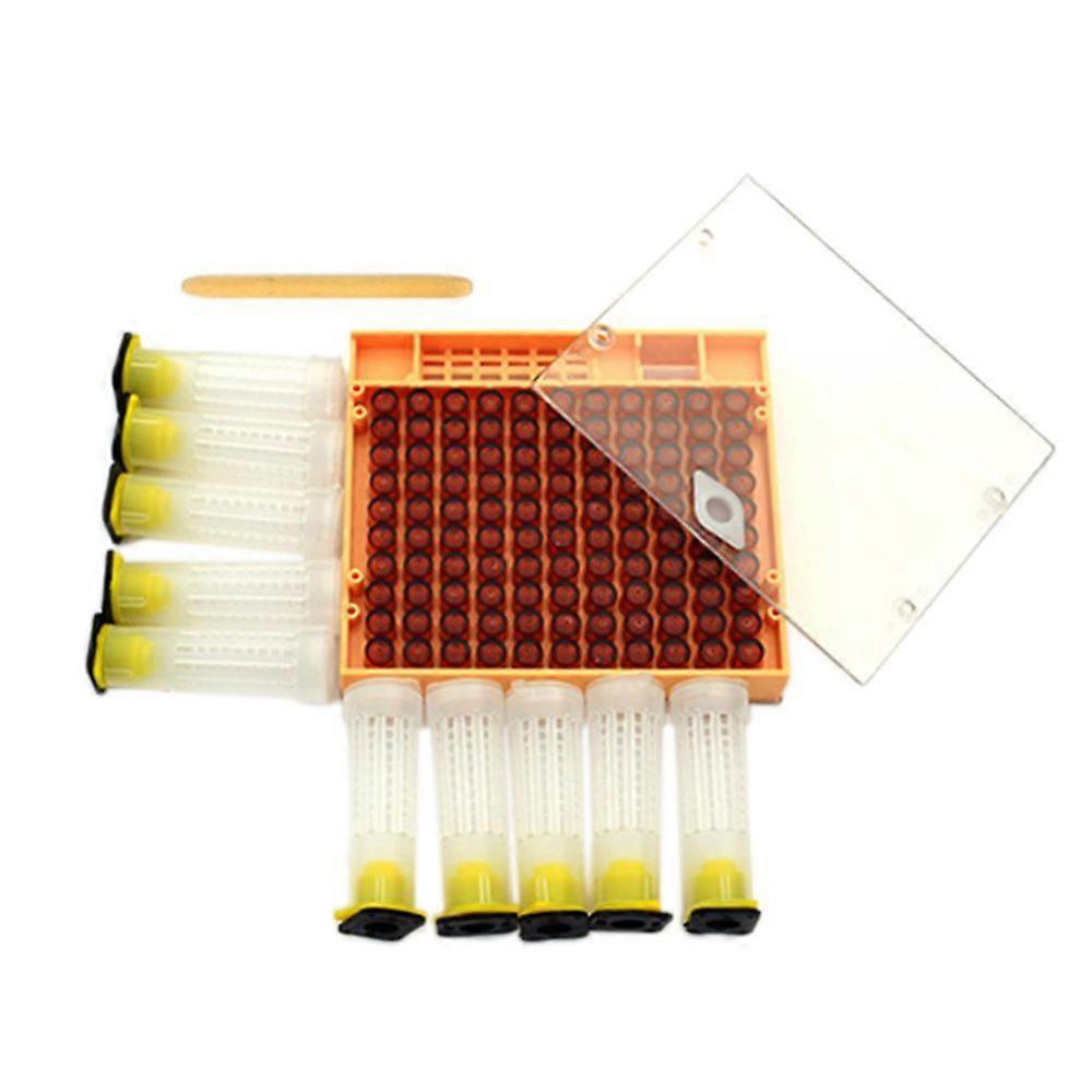 Cupcake Queen Sistemi