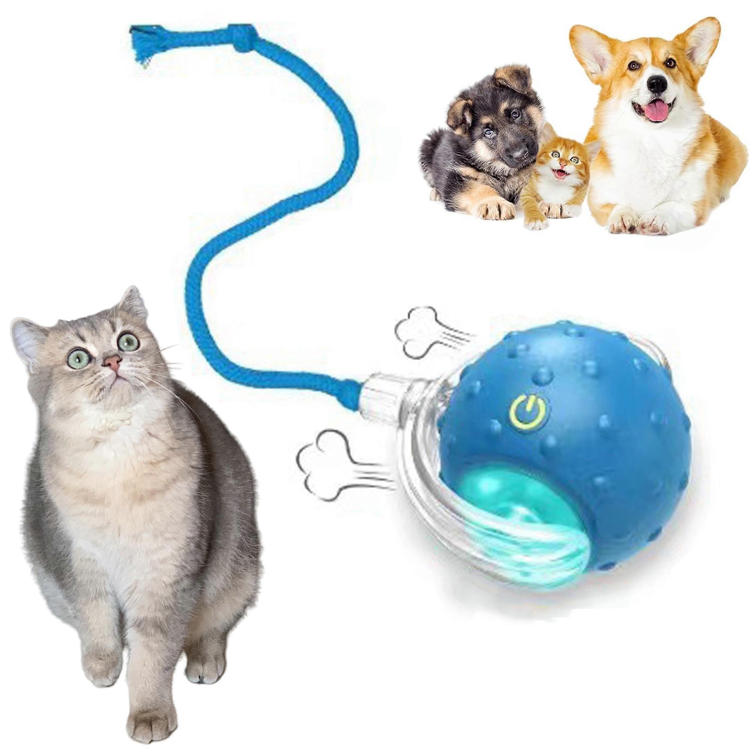 Interactive Cat Toy Ball with 360° Rolling, Rechargeable TypeC for Indoor Cat Exercise (Blue)