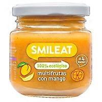 Multifruit jar with organic mango 4m+ 130 g