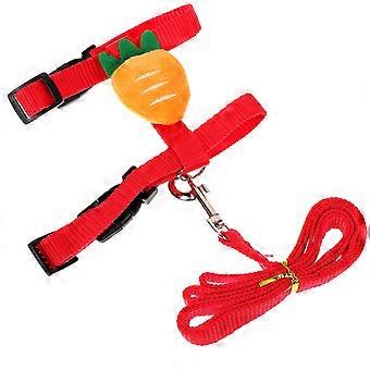 Small Pet Rabbit Harness and Leash Set for Walking 2Sets Assorted Colors