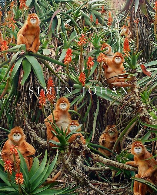 Simen Johan by Simen Johan Hardback Book