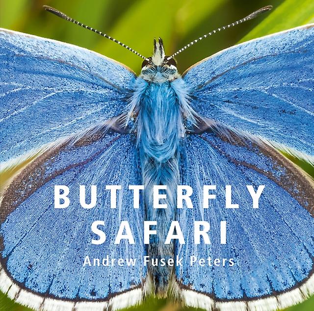 Butterfly Safari by Andrew Fusek Peters Paperback Book