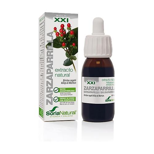21st century sarsaparilla extract 50 ml