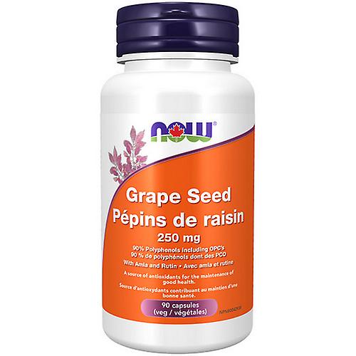 Grape Seed Extract,250mg,90 VegCaps by Now (Pack of 2)