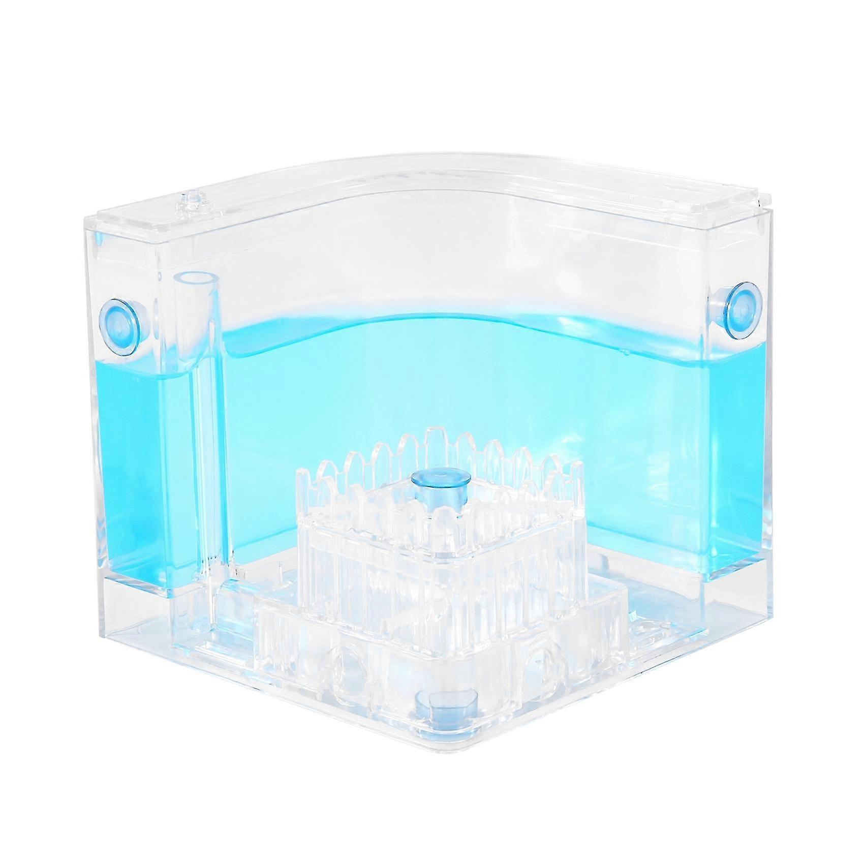 Diy Moisture With Feeding Area Ant Nest Ant Farm Ant Nests Pet For House Ants Ant Workshop Ant Nest