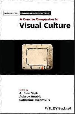 A Concise Companion to Visual Culture