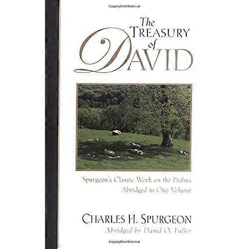 Av David finansförvaltning