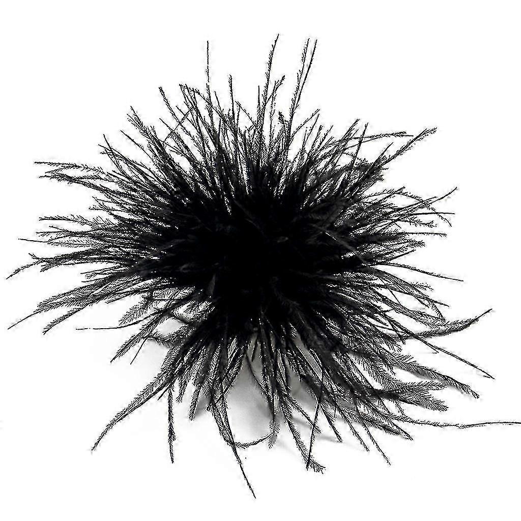 Καρφίτσα με φτερά, κασκόλ, κλιπ, αξεσουάρ κοσμημάτων, γυναικεία ρούχα, διακοσμήσεις