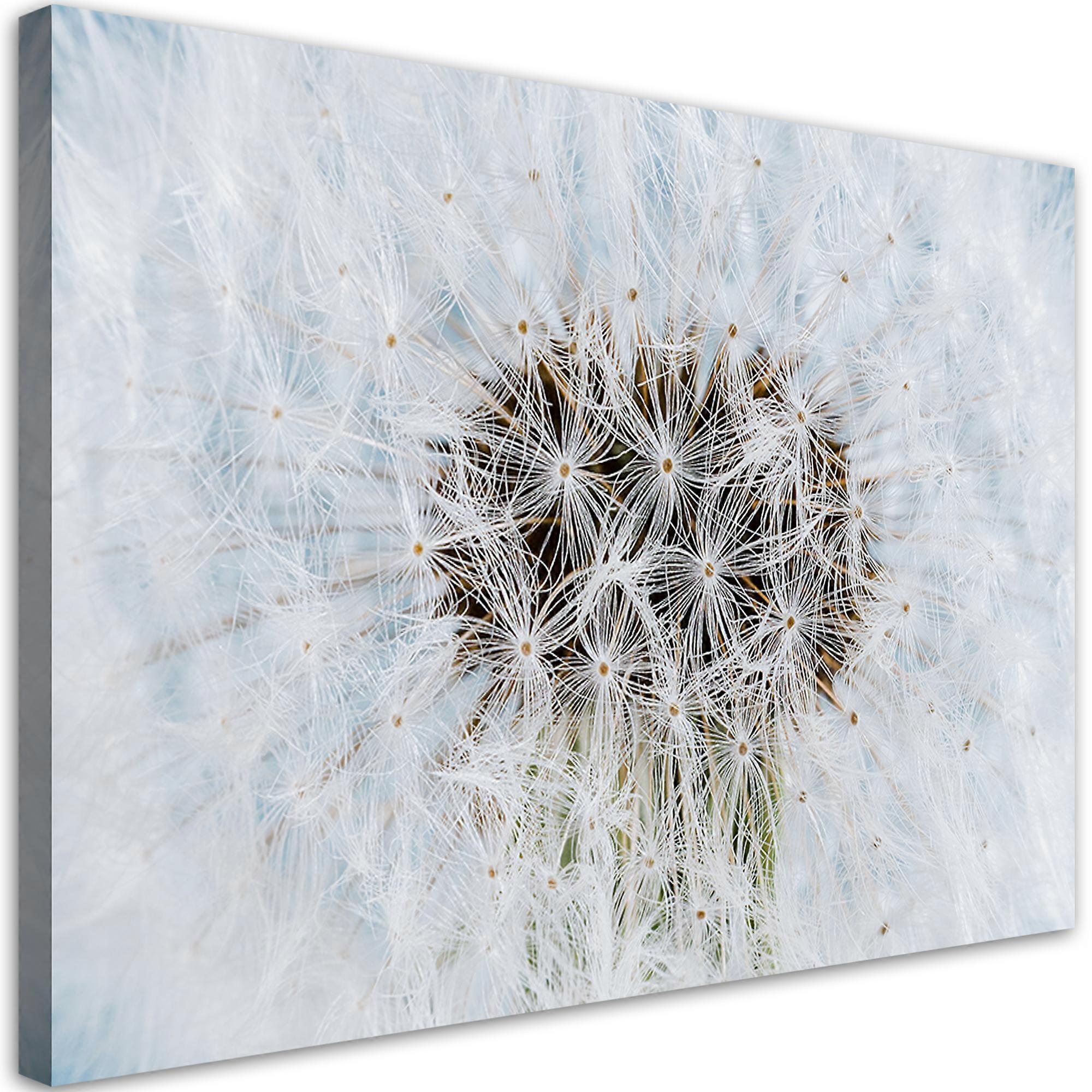 Impression sur toile, Blower White Flowers - 100x70