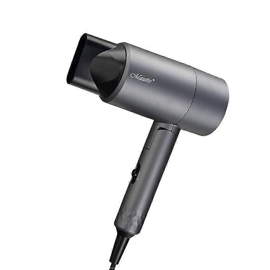 Secador de pelo Maestro Mr-209 de 1600 W