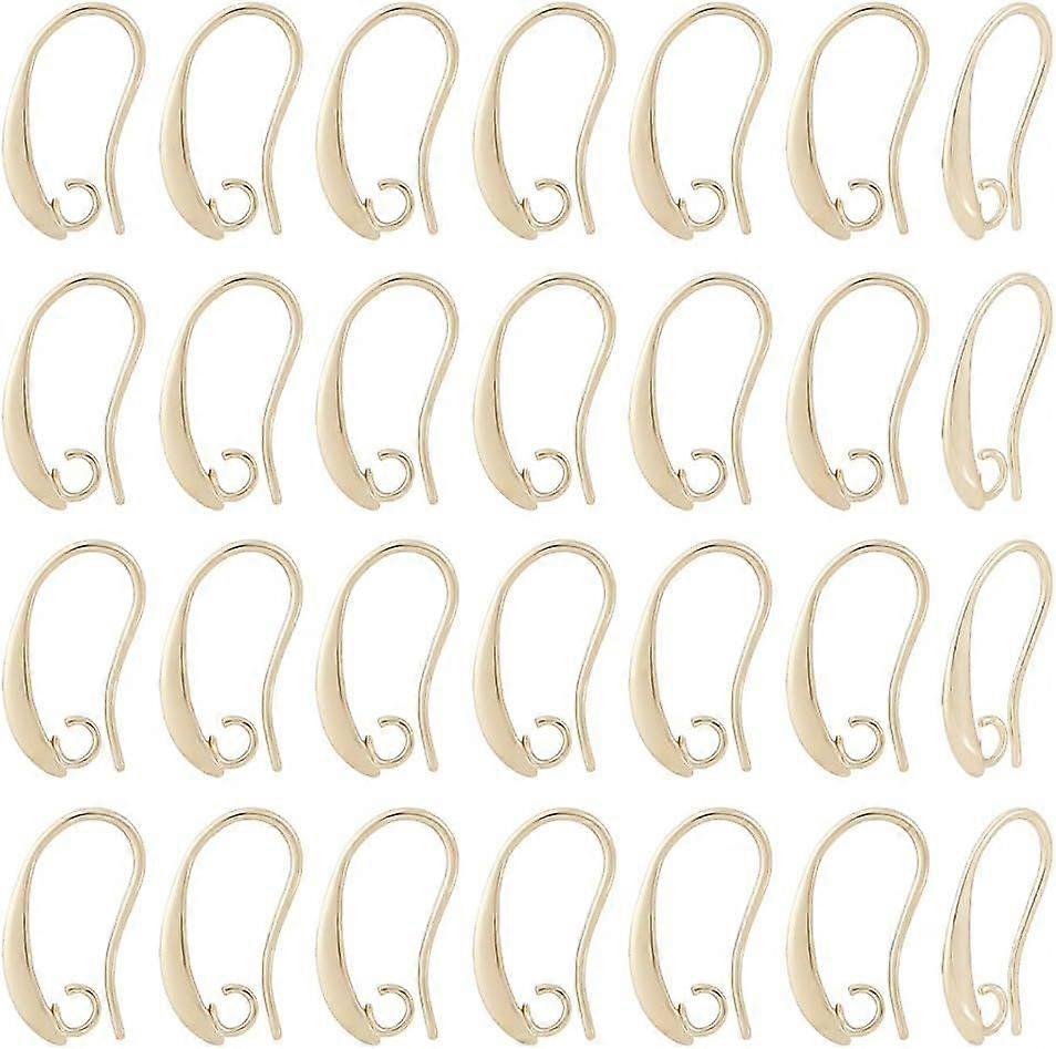 40Pcs Earring Hooks 18K Gold Plated Fish Hook Brass Earring Making Kit Ear Wire with Horizontal Loops Drop Ear Finding for Jewelry Making 19x10x2mm