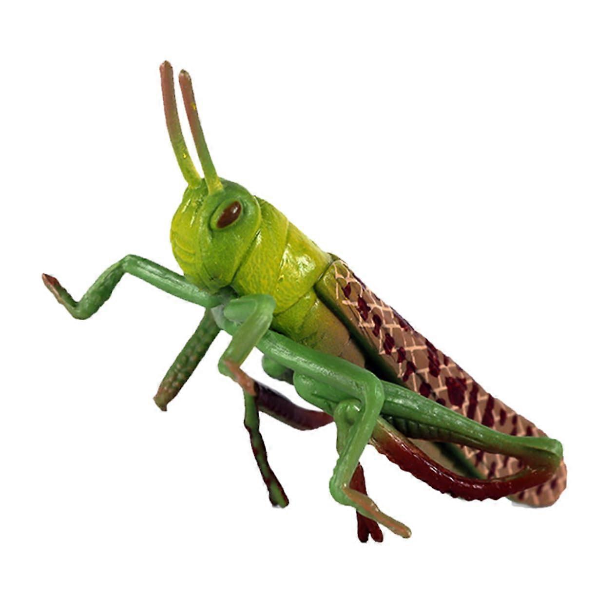 Insect Toy Figures with Realistic Locust Design for Kids Educational Plastic Grasshopper Model